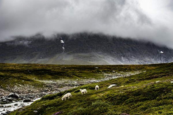 Escapades en asie : récits fascinants et conseils essentiels